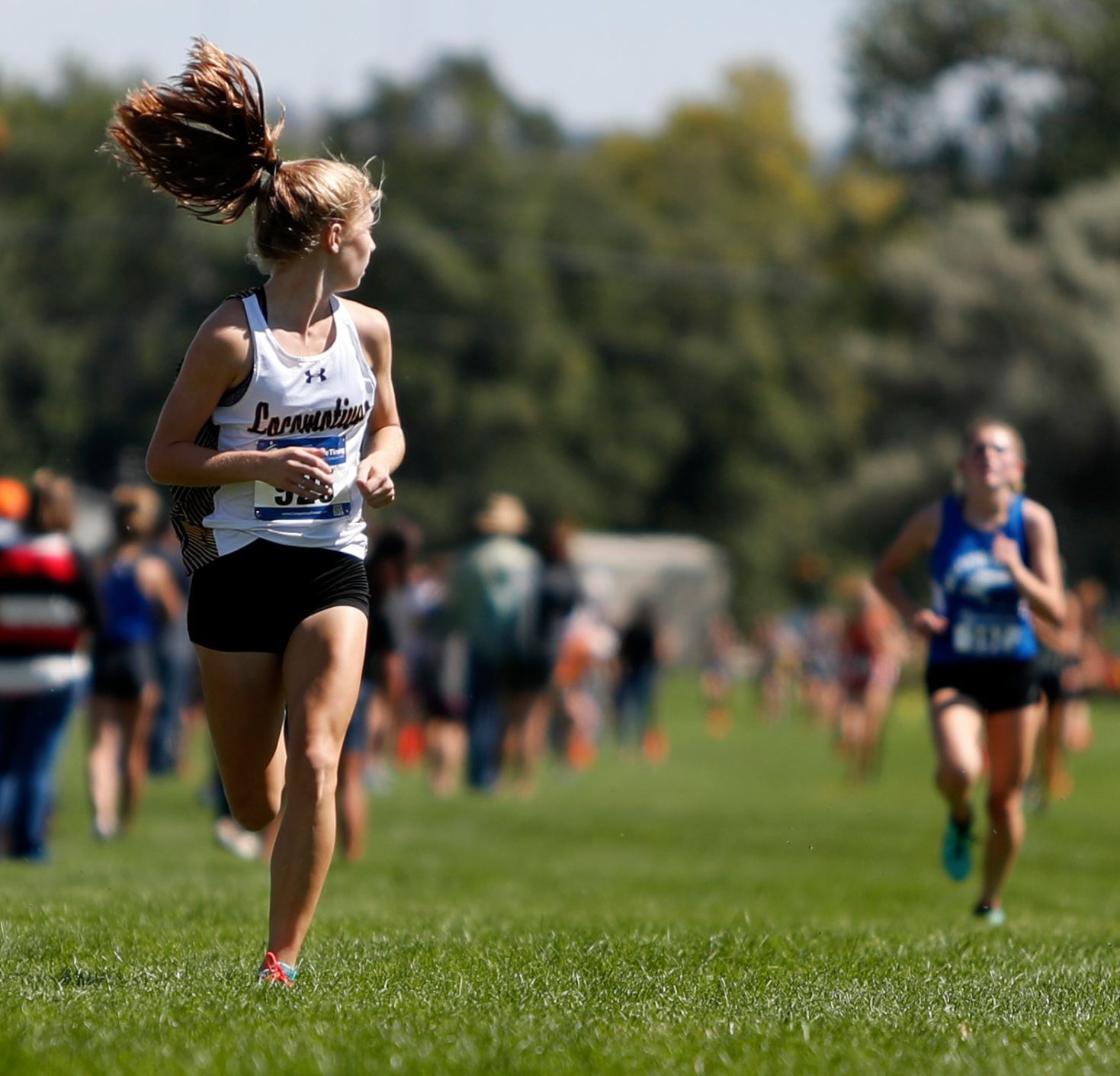 Laurel's Grace Timm